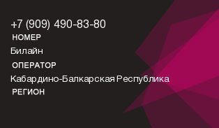 9094908380